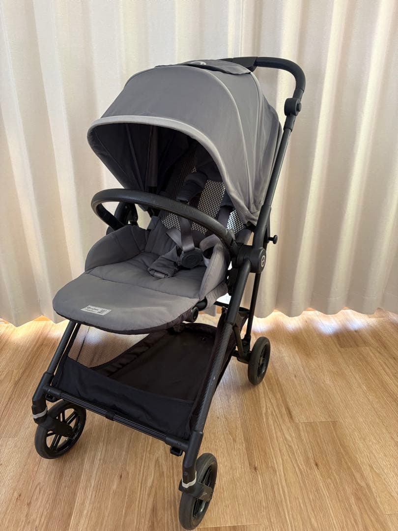 サイベックス　メリオカーボン　モニュメントグレー 2022年購入