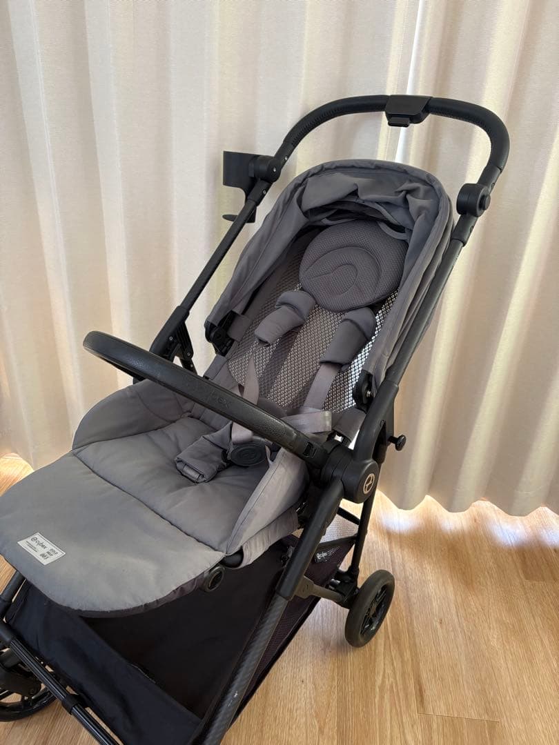 サイベックス　メリオカーボン　モニュメントグレー 2022年購入