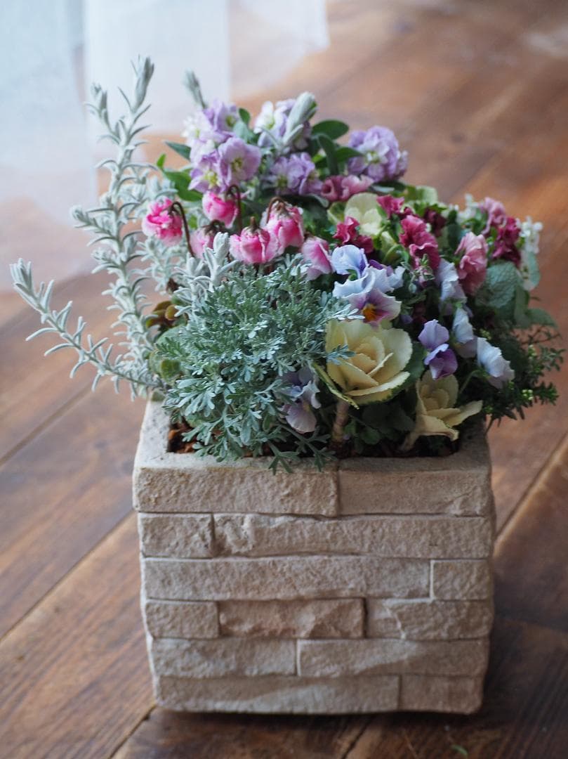 大人可愛い冬のスクエアガーデン 寄せ植え