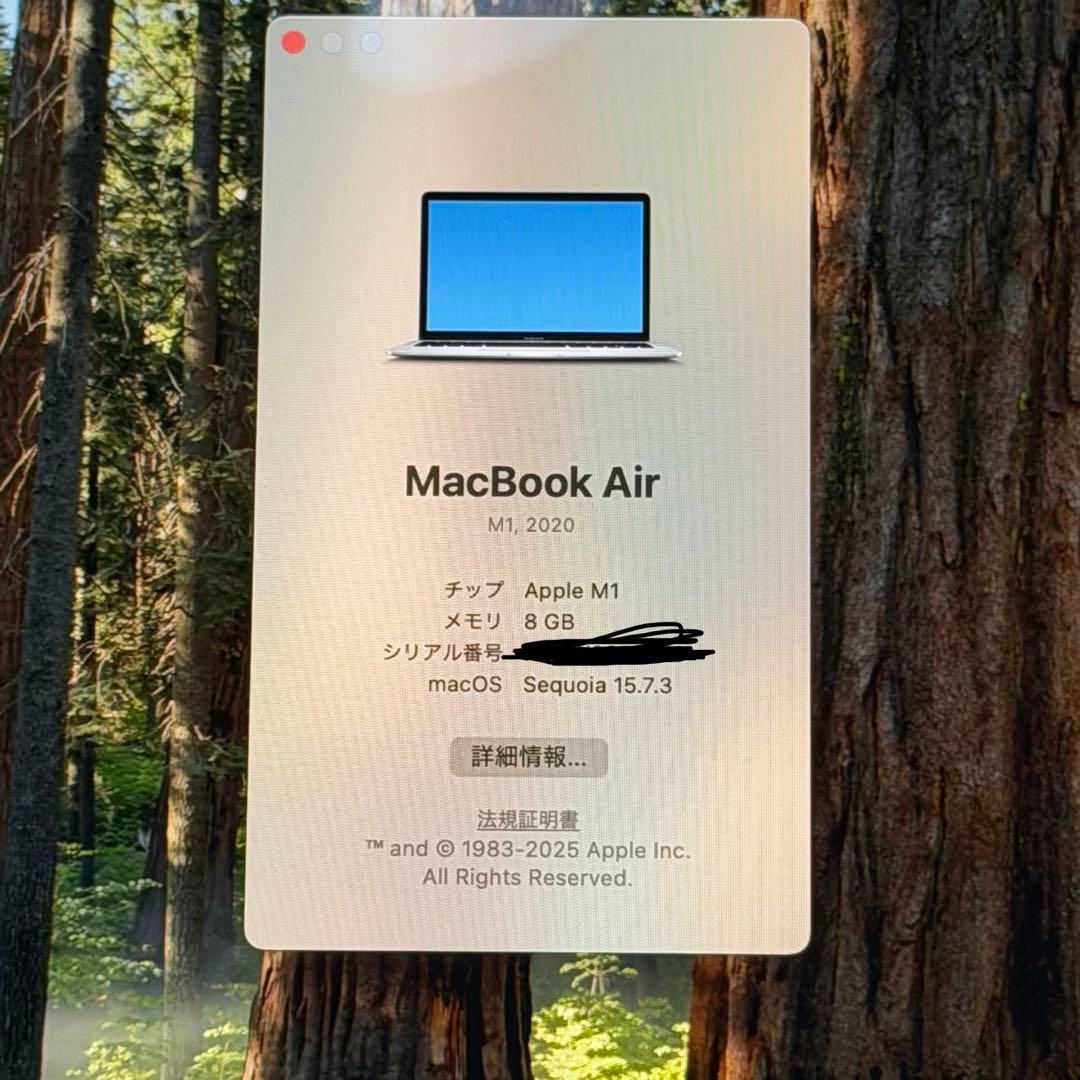 MacBook Air 13インチ M1 512GB 8GB