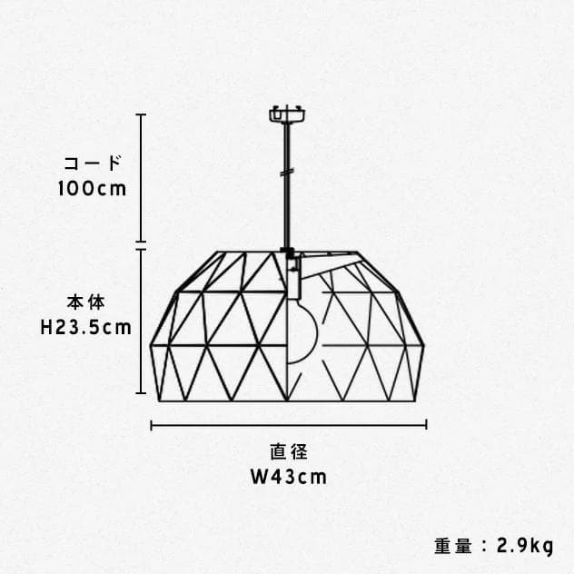 APROZ / アプロス VIRGINIA バージニア 1灯ペンダント天井照明