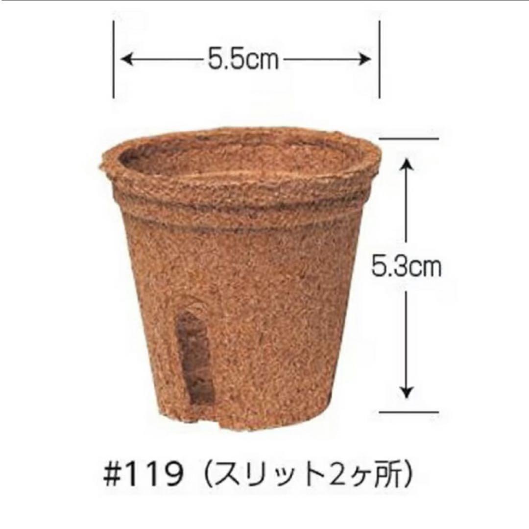 ジフィーポット 丸型5.5cm 約3400個入り スリット入り　そのまま植えれる