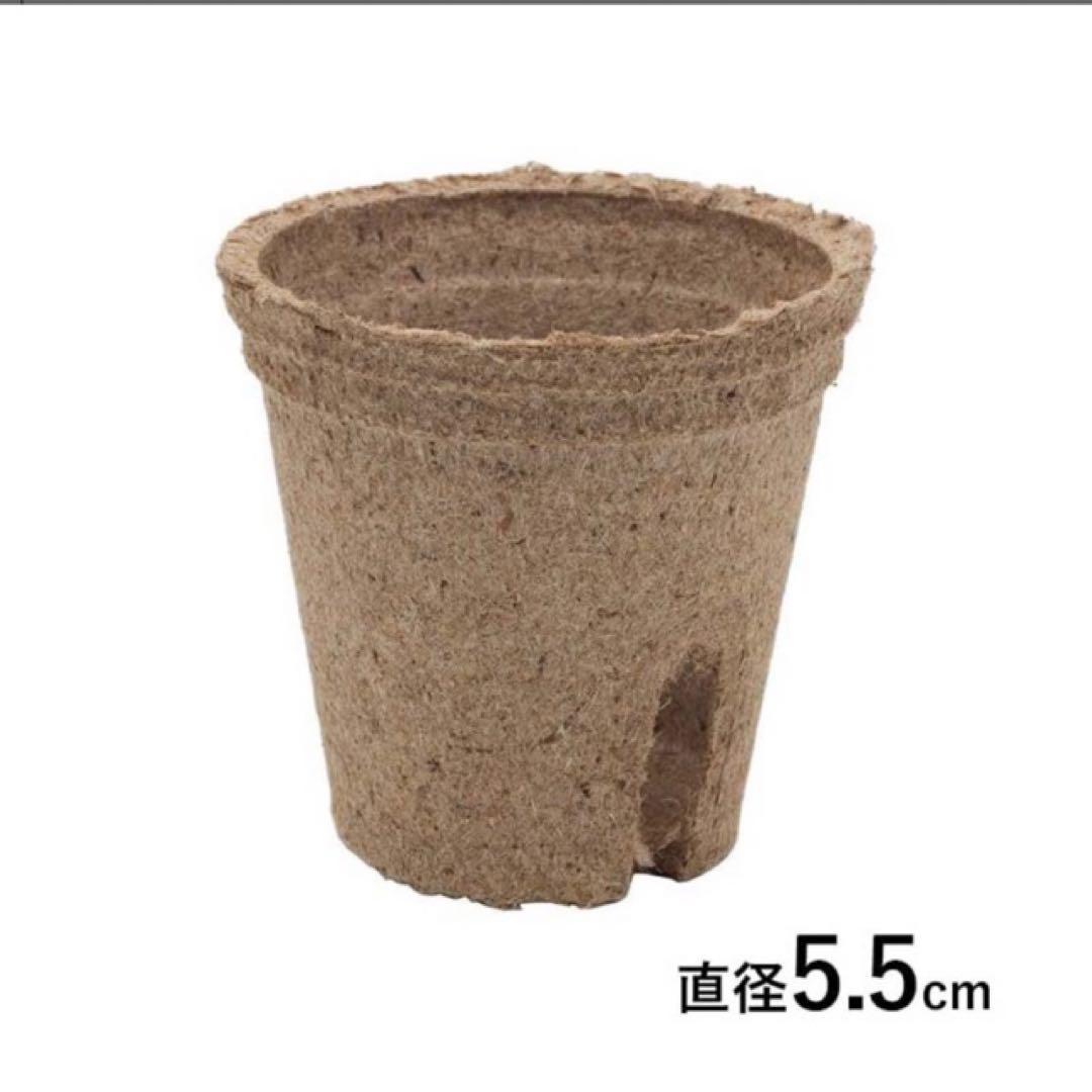 ジフィーポット 丸型5.5cm 約3400個入り スリット入り　そのまま植えれる