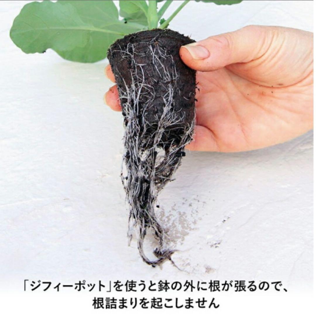 ジフィーポット 丸型5.5cm 約3400個入り スリット入り　そのまま植えれる