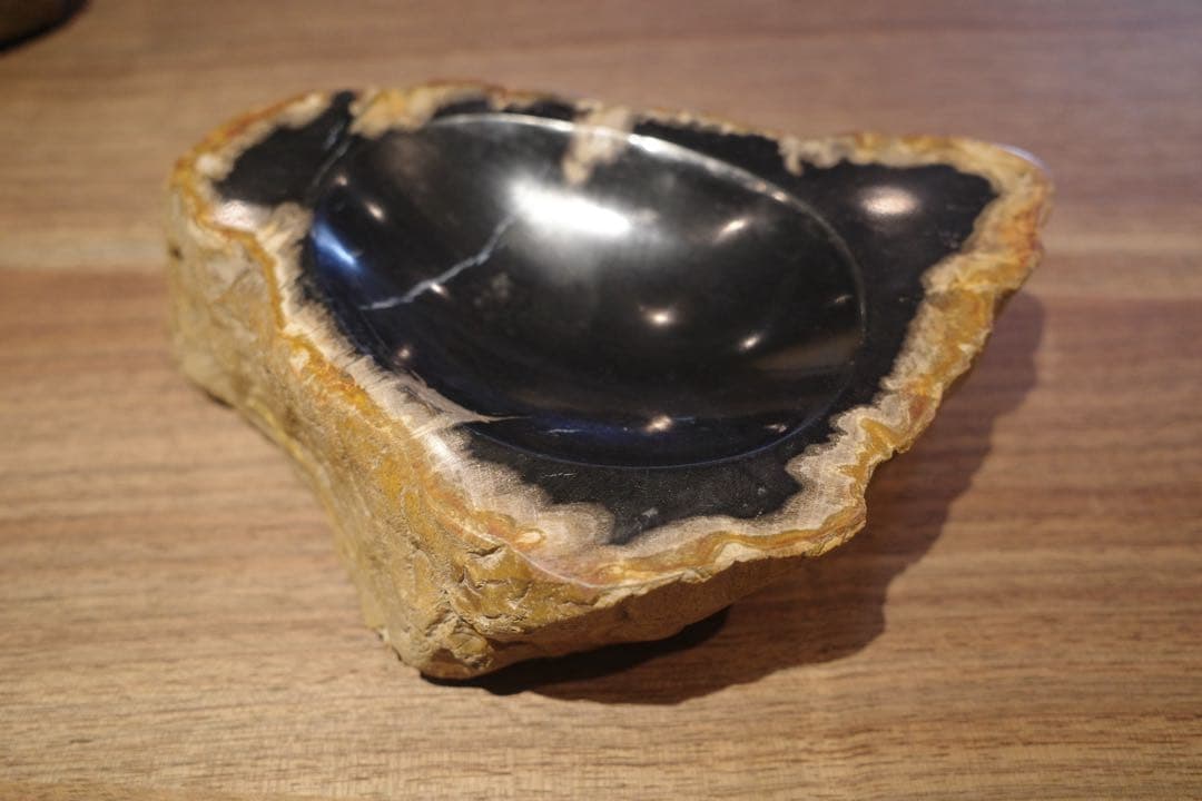 【SALE】珪化木トレー