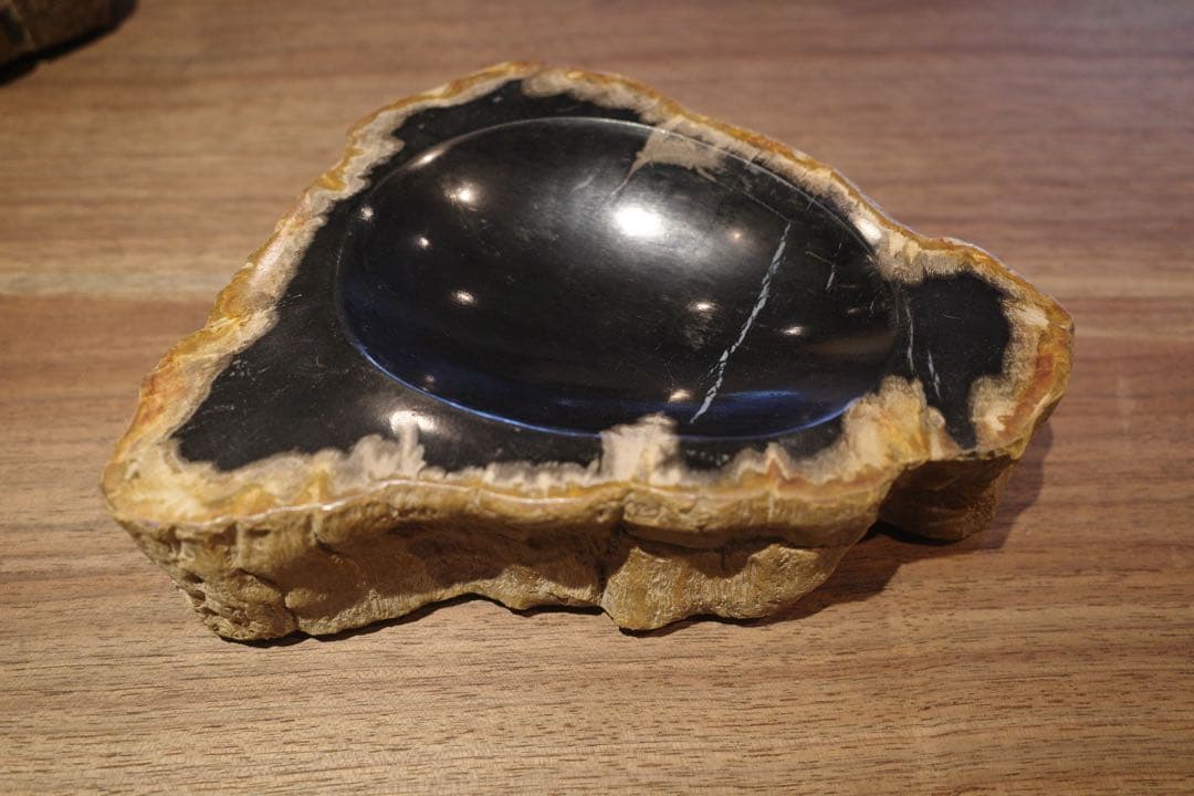 【SALE】珪化木トレー