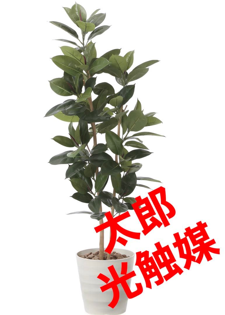 光触媒　人工観葉植物　ウォールグリーン　フェイクグリーン　ゴムノ木160