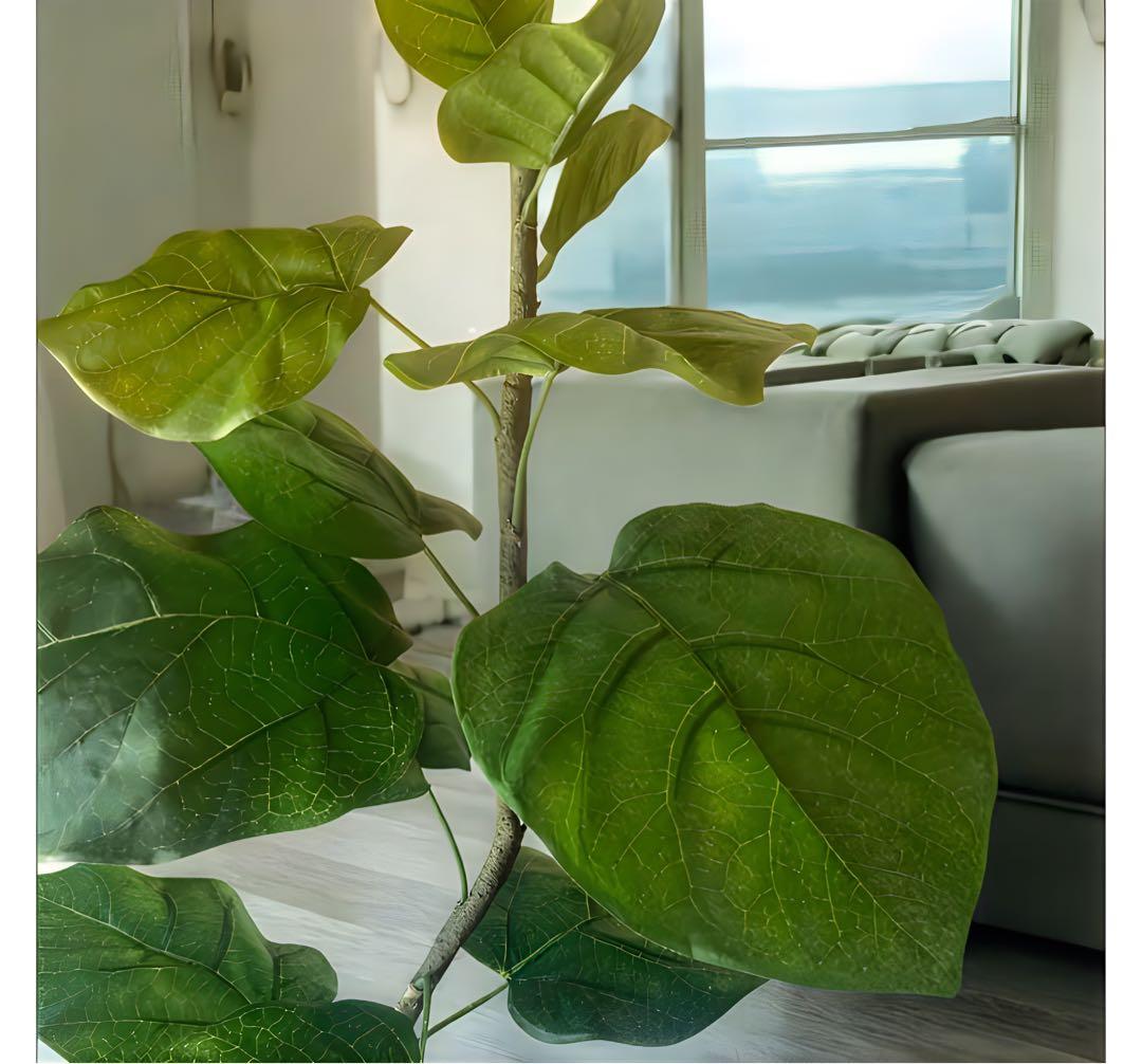 光触媒　人工観葉植物　ウォールグリーン　フェイクグリーン　クネクネウンベラータZ