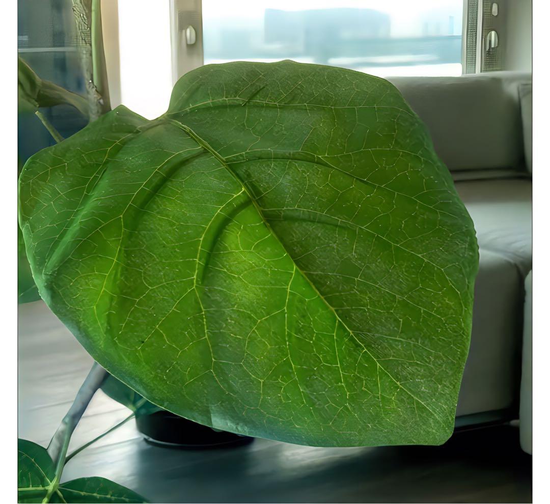 光触媒　人工観葉植物　ウォールグリーン　フェイクグリーン　クネクネウンベラータZ