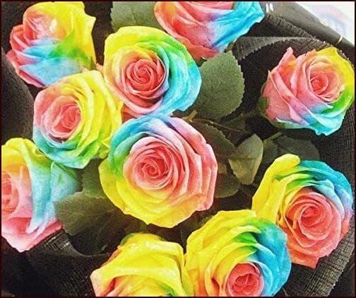 【高級プリザーブドフラワー】レインボーローズ(４－５ｃｍ普通サイズ) 20本花束