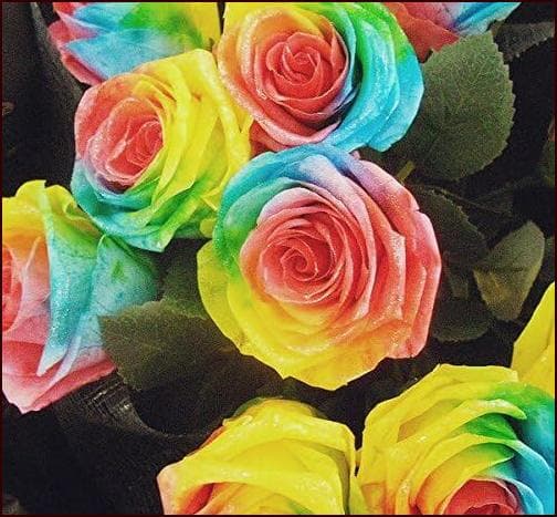 【高級プリザーブドフラワー】レインボーローズ(４－５ｃｍ普通サイズ) 20本花束