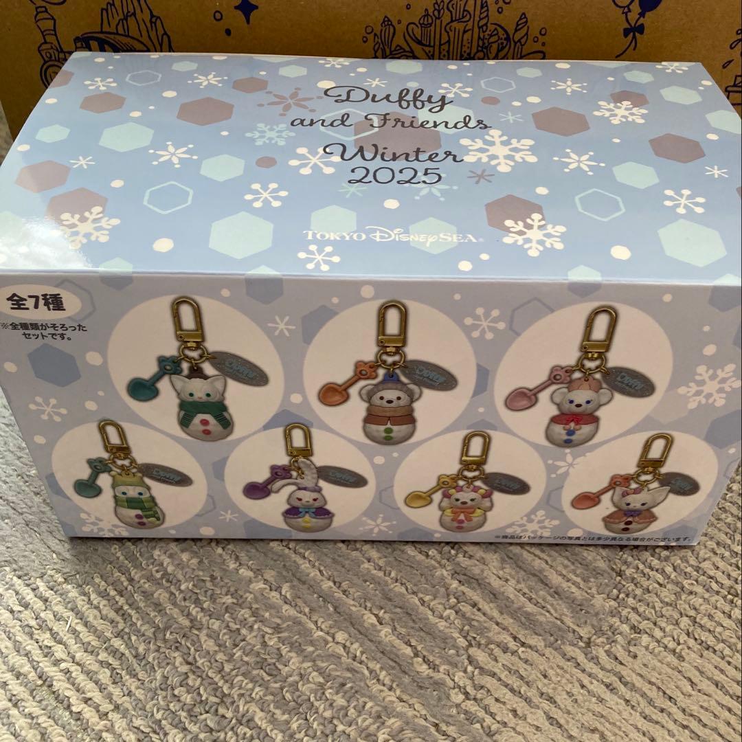 ディズニー　シークレットオブスノーウィーデイ　 チャーム　コンプリート　全種