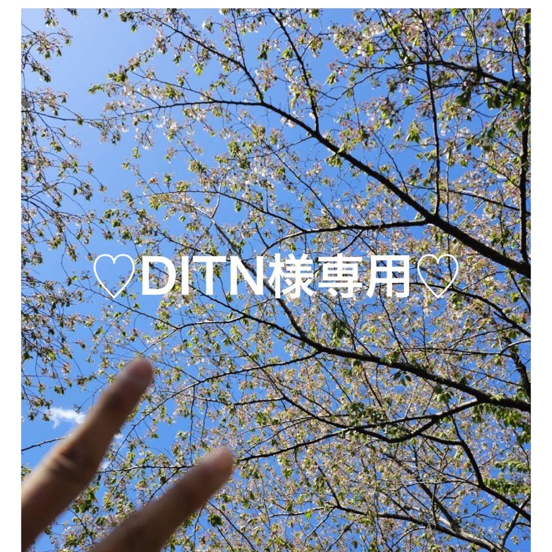 DITNです