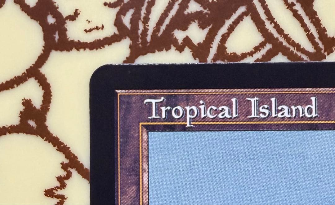 日*読様 Tropical  MTG 30th edition