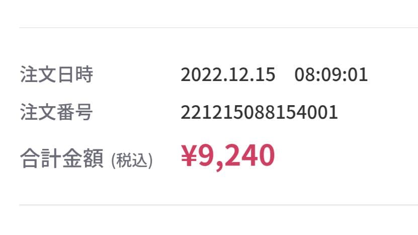 限定価格クリスマスツリー　収納バック　スタディオクリップ