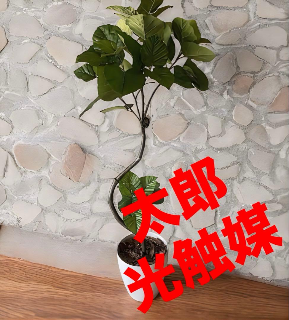 光触媒　人工観葉植物　ウォールグリーン　フェイクグリーン　ウンベラータ166a