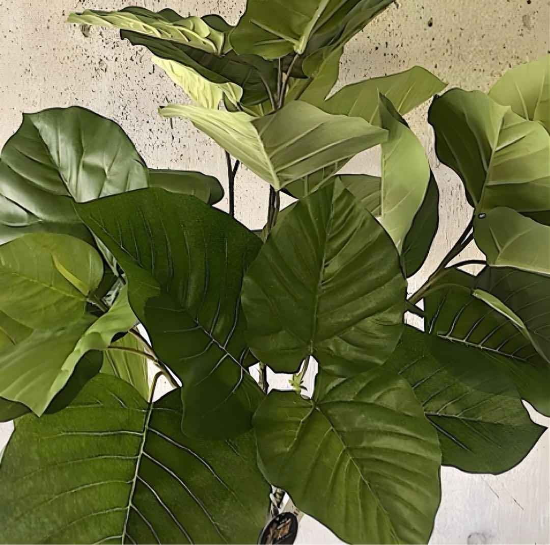 光触媒　人工観葉植物　ウォールグリーン　フェイクグリーン　ウンベラータ166a