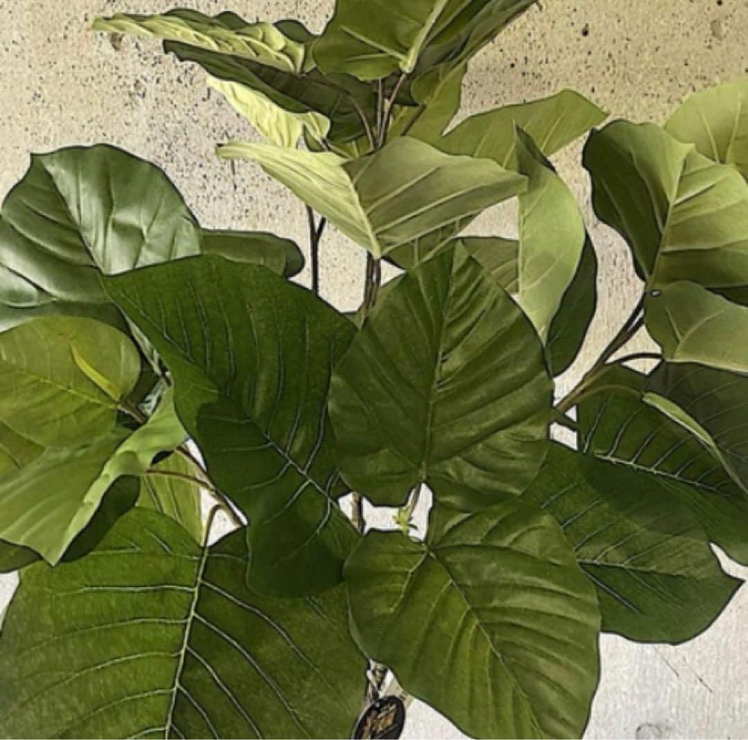 光触媒　人工観葉植物　ウォールグリーン　フェイクグリーン　ウンベラータ166a