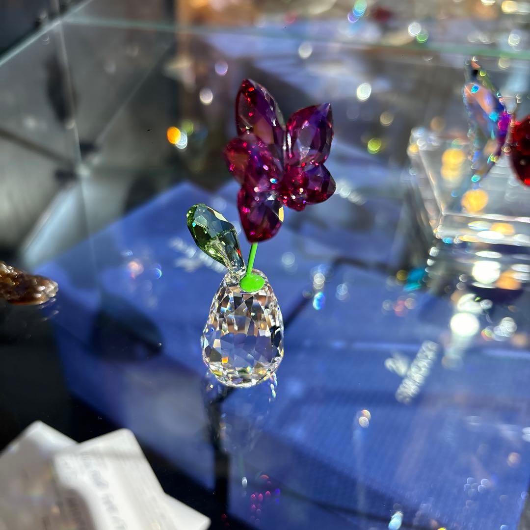 SWAROVSKI スワロフスキー オーキッド ラン 蘭 花 置物