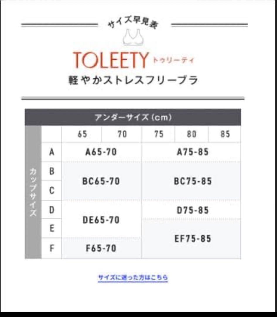 TOLEETY ストレスフリーブラ ３枚セット