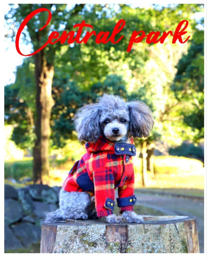 新品未使用　アトリエgg　セントラル パーク(パーク コート)