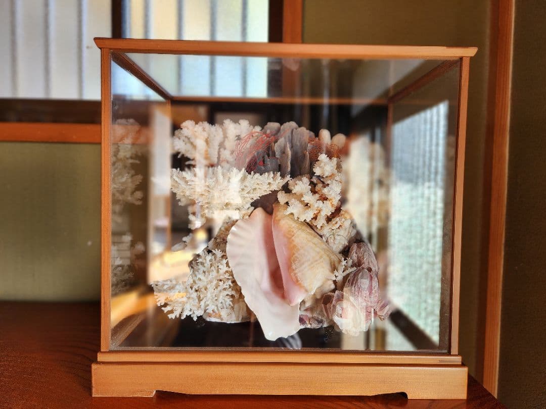 貝と珊瑚のオブジェ