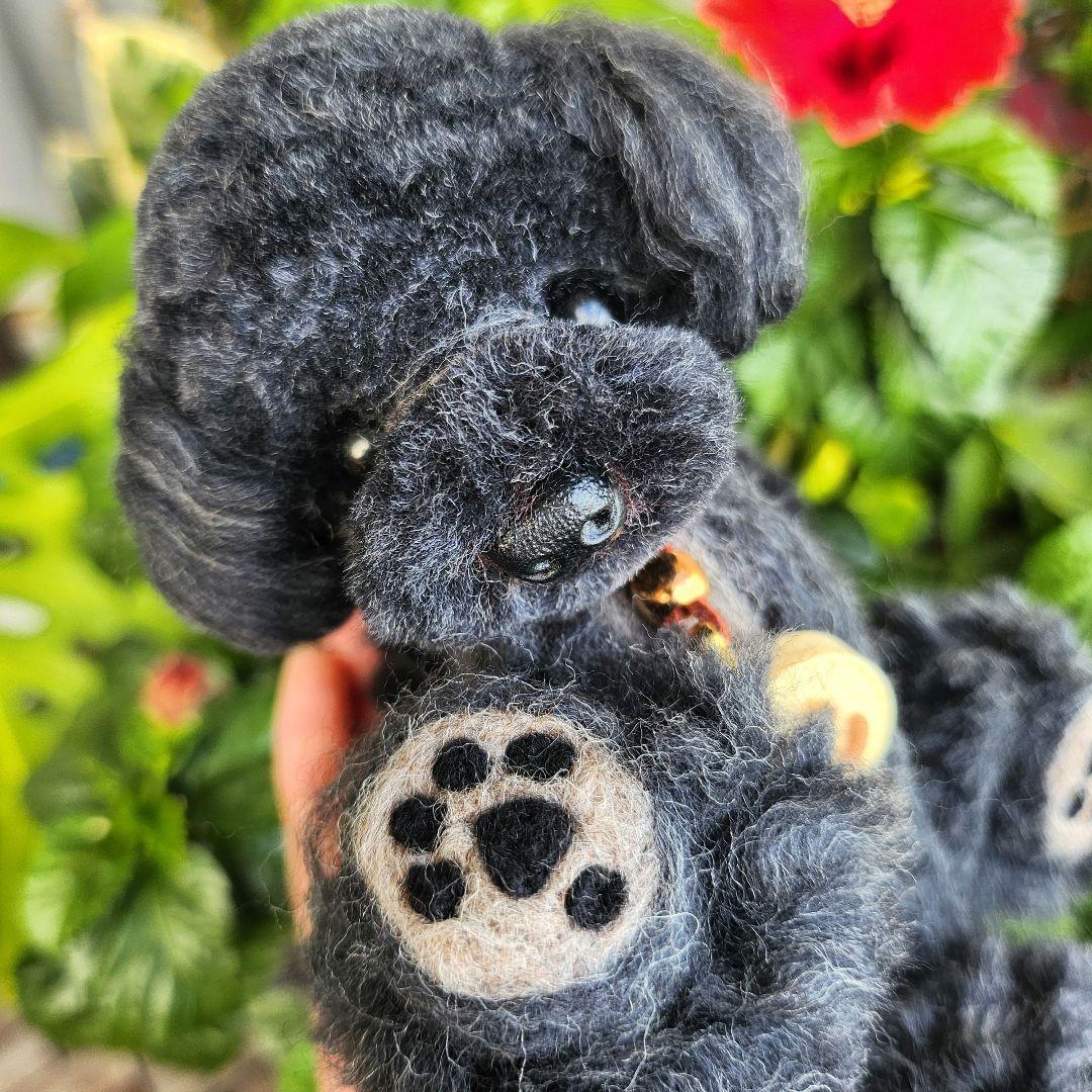 お迎え決まりました♥️　　　　　　　　　　　　　　　トイプードル❤️羊毛フェルト