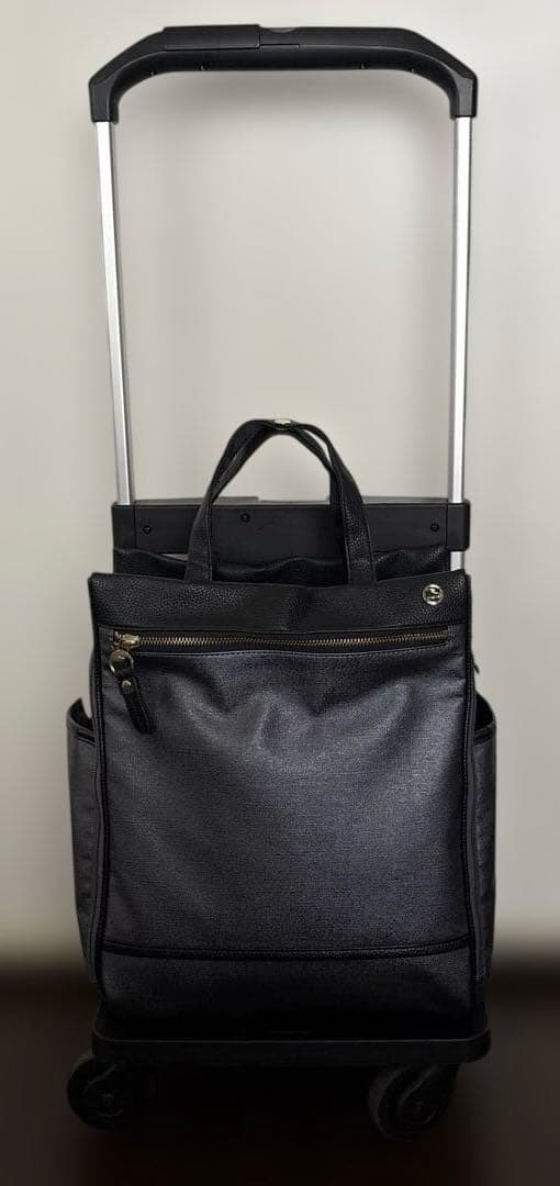 ⭐️未使用級⭐️aceキャリーバッグ ナイロンキャリーケース