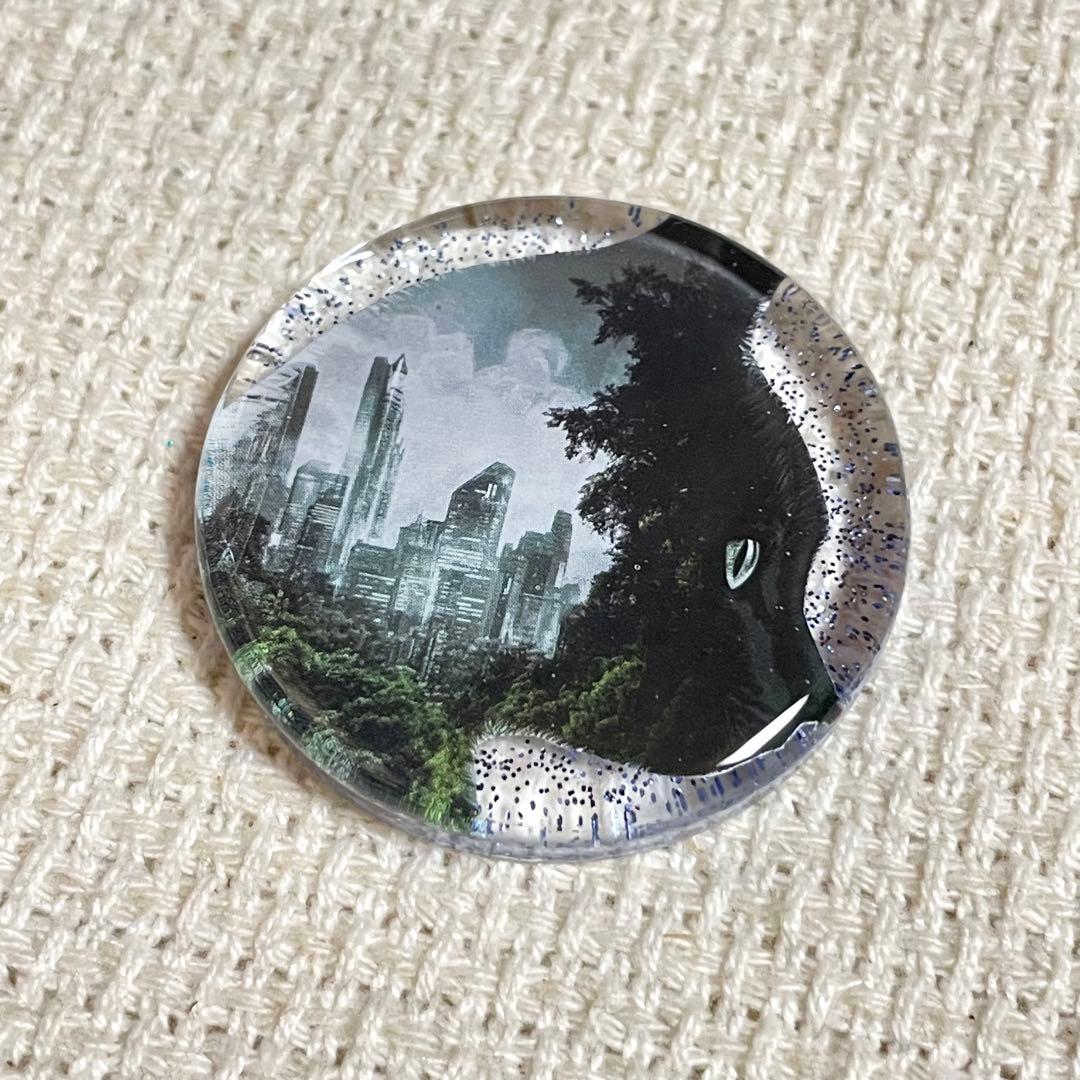 2492. 【大】レジンポニーフック・ヘアゴム・ブローチ