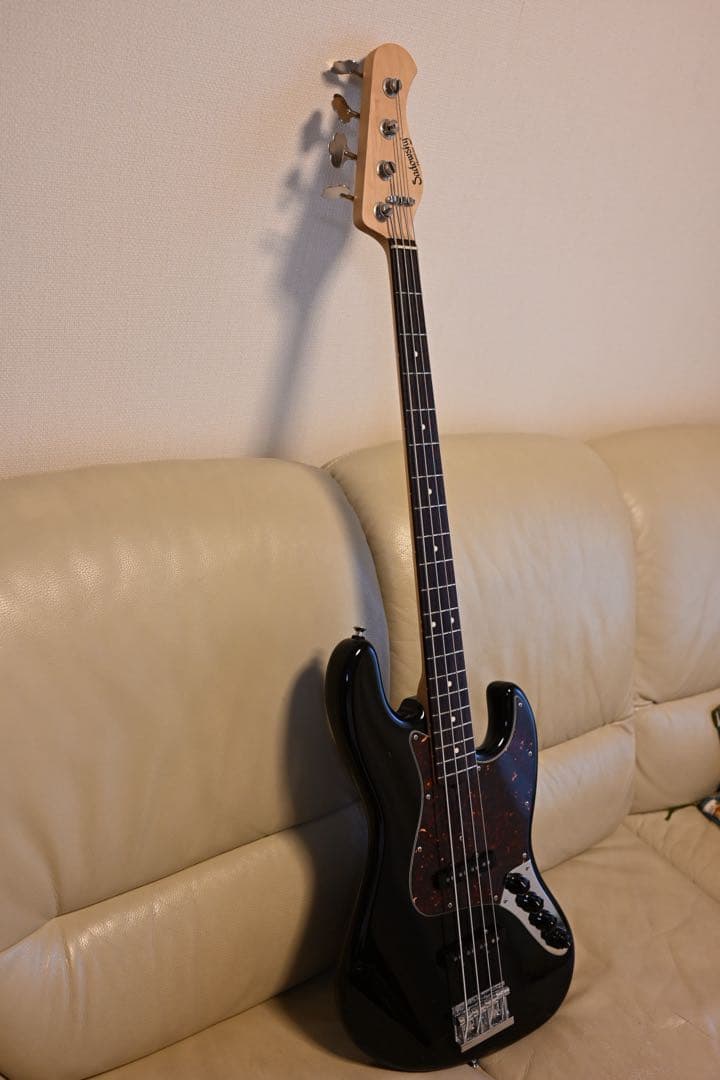 今日だけ特別値下げSadowsky Metroline UV60 PLEK済