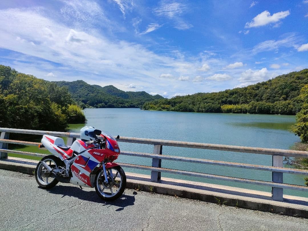 NS1　純正前期サイドカウル　左右セット