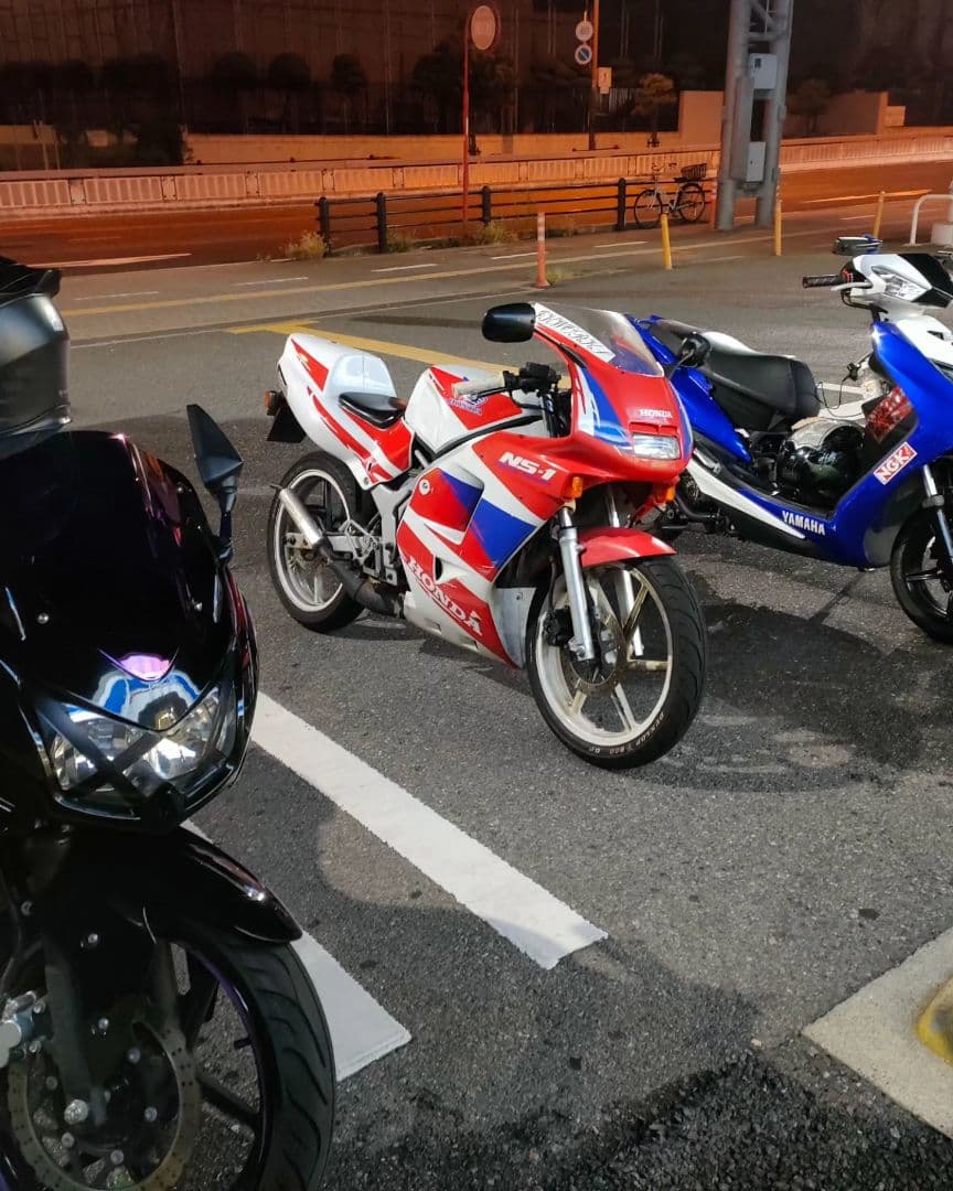 NS1　純正前期サイドカウル　左右セット