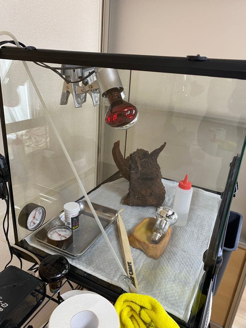 エキゾテラ6045 東広島市　とまさん専用