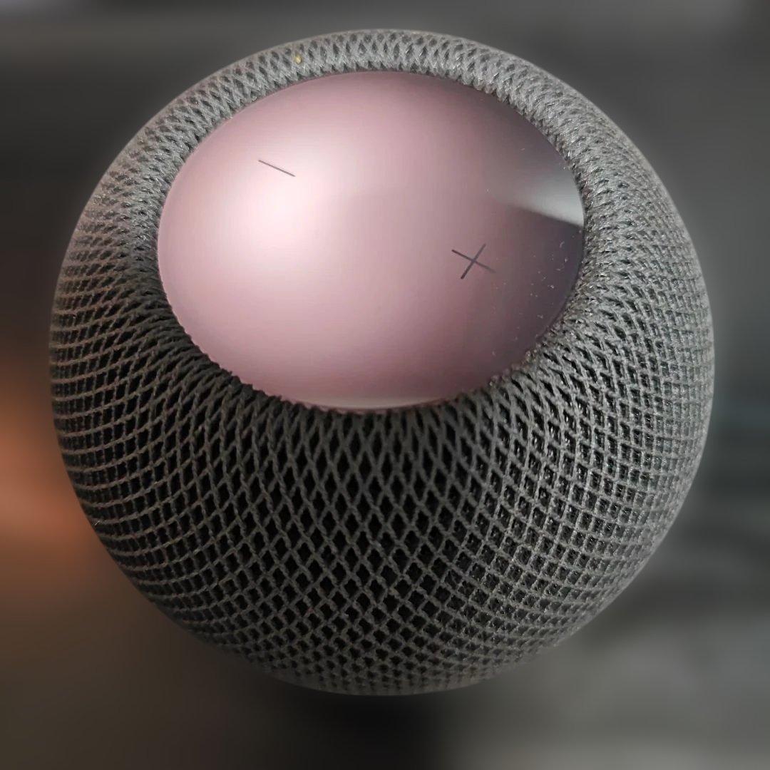 Apple Pod Mini スペースグレー