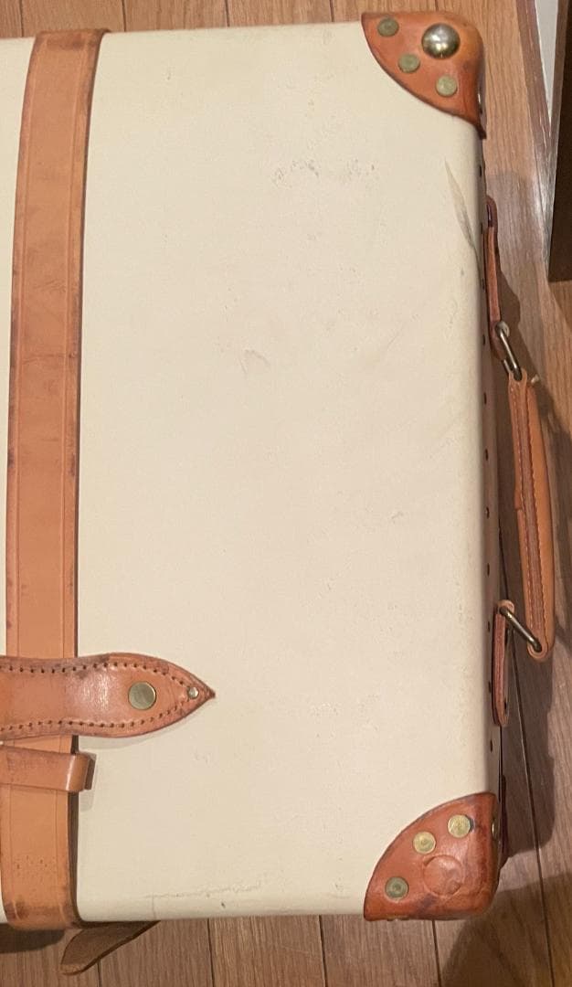 Globe-Trotter グローブトロッター　 キャリーケース　サファリ