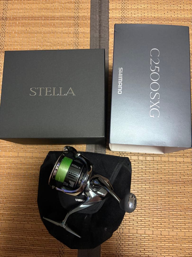 22ステラ C2500SXG