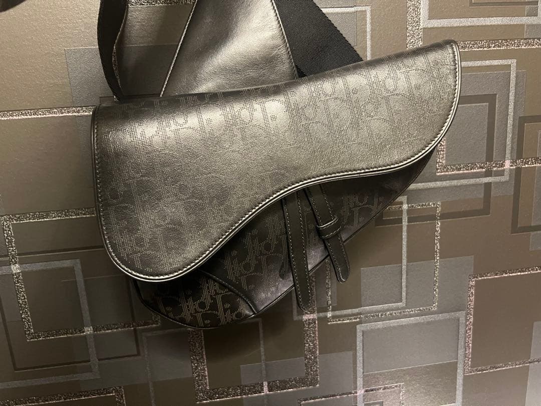 【エアロ】DIOR サドルバッグ　ギャラクシーレザー　美品