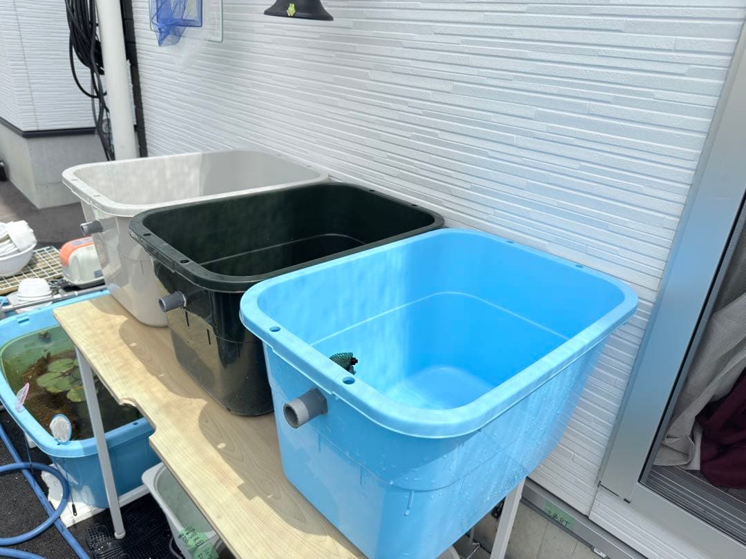 ★お買い得★たらい36L(5個)メダカ飼育容器オーバーフロー トロ舟プラ舟めだか