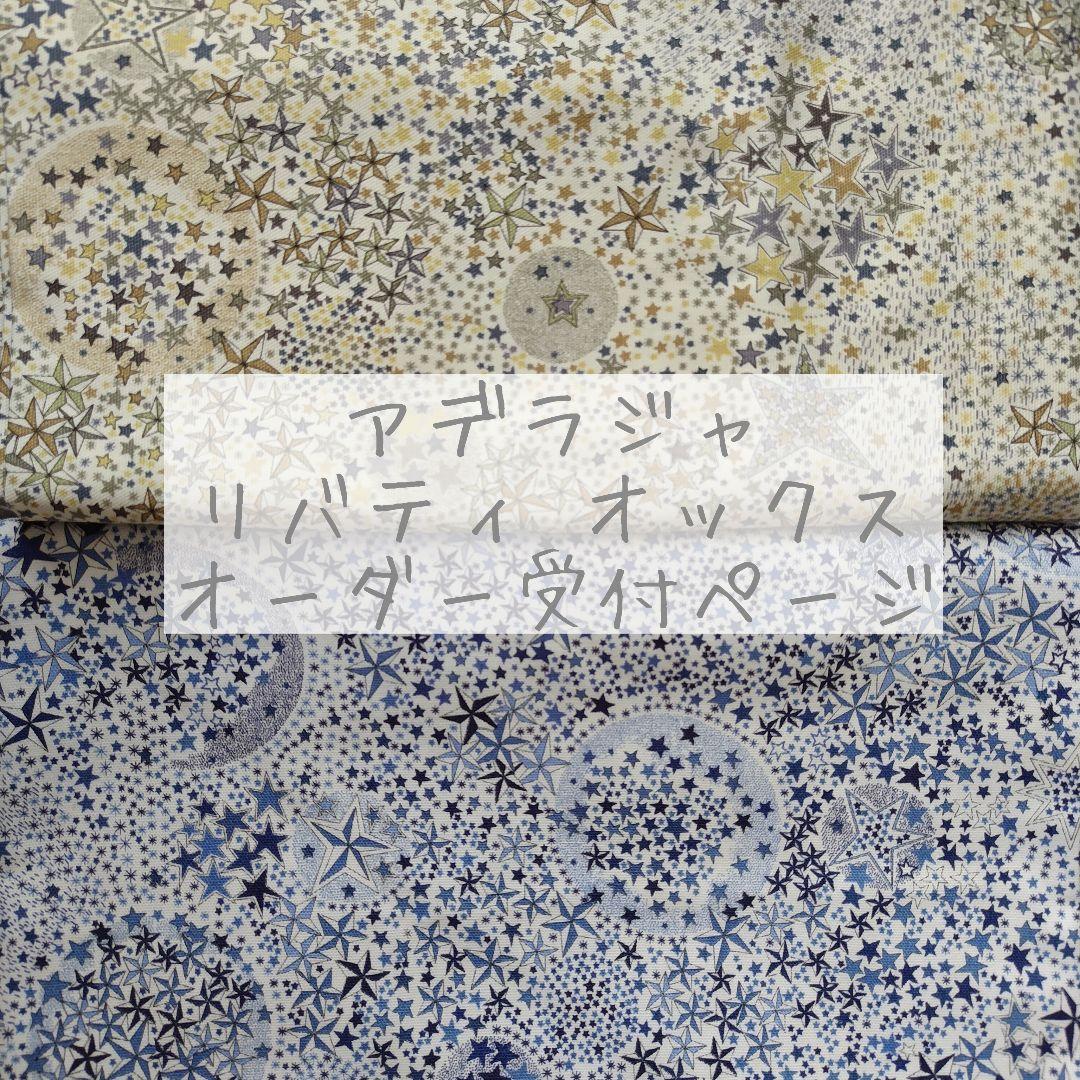 レッスンバッグ 上履き入れ 体操服 巾着袋 リバティ アデラジャ 男の子