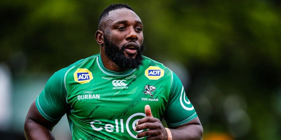 ラグビー 選手仕様ジャージ 南アフリカ シャークス サイズL 新品