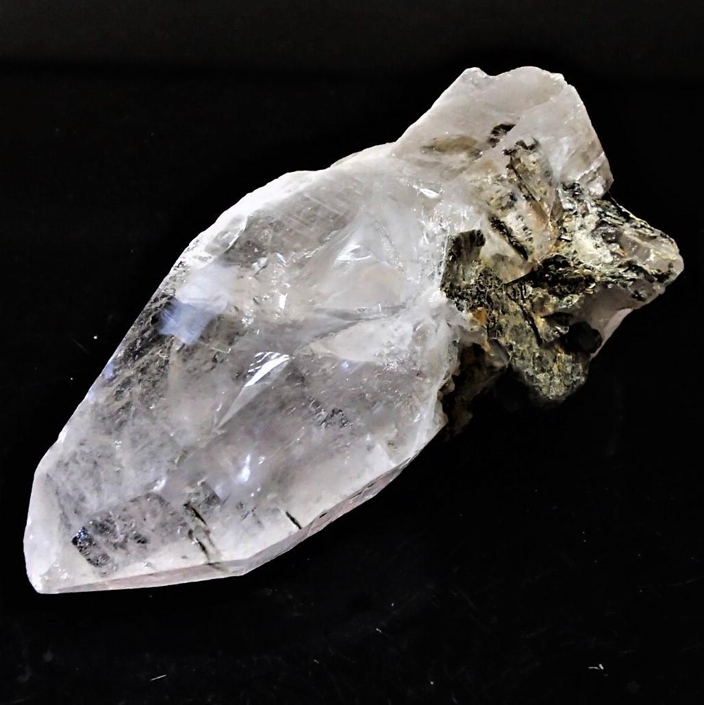 値下しました！ティップリン産ポイント-147-1