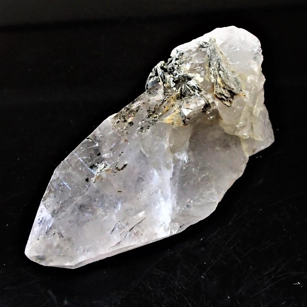 値下しました！ティップリン産ポイント-147-1