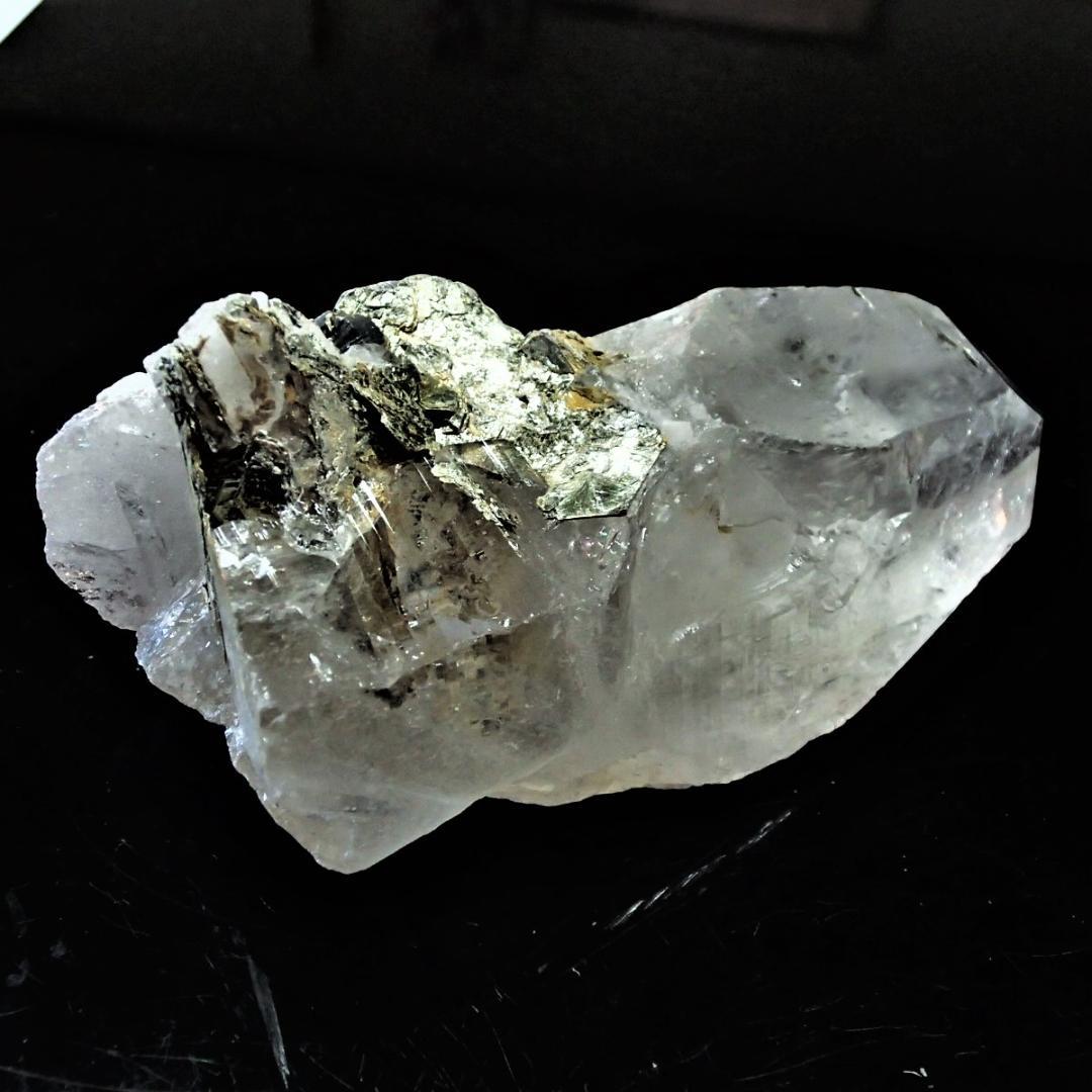 値下しました！ティップリン産ポイント-147-1