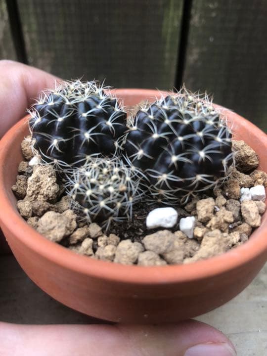 専用ページです(^ ^)