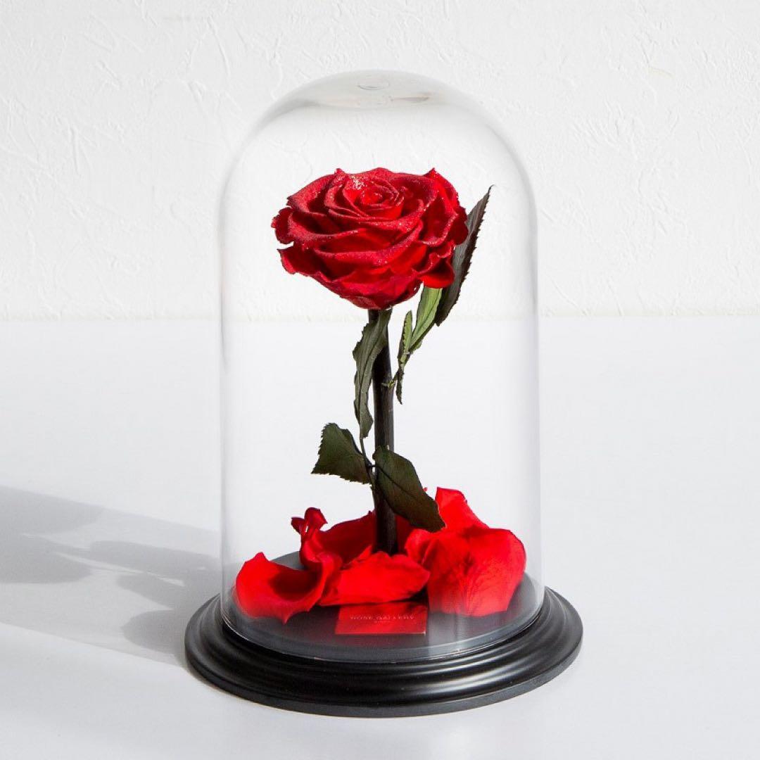 新品未使用ROSE GALLERY プリザーブドローズ ドーム型