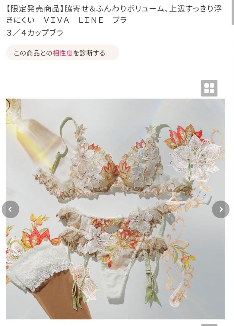最終値下げ　ワコール　サルート40g　受注販売品 G65/M