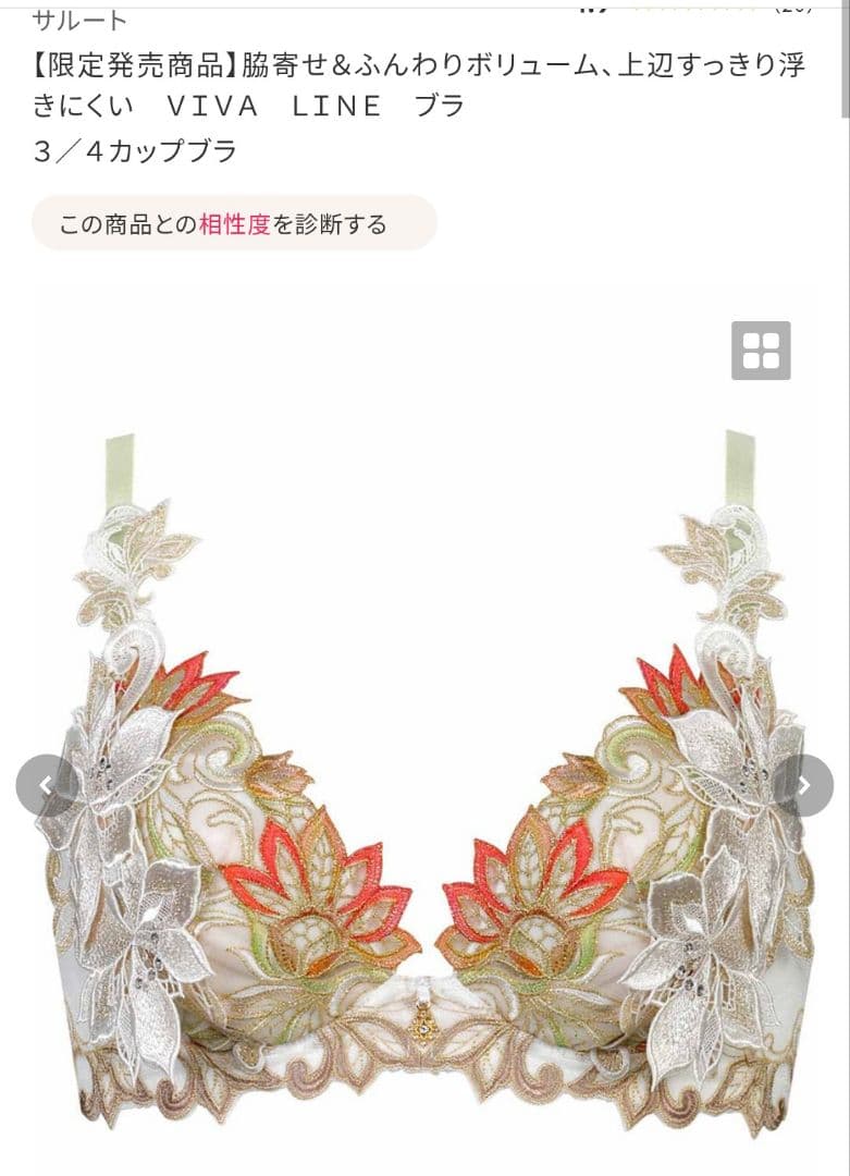 最終値下げ　ワコール　サルート40g　受注販売品 G65/M
