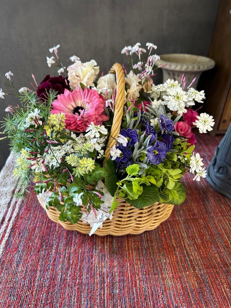 春満載♡アネモネとジュリアンのギャザリング寄せ植え