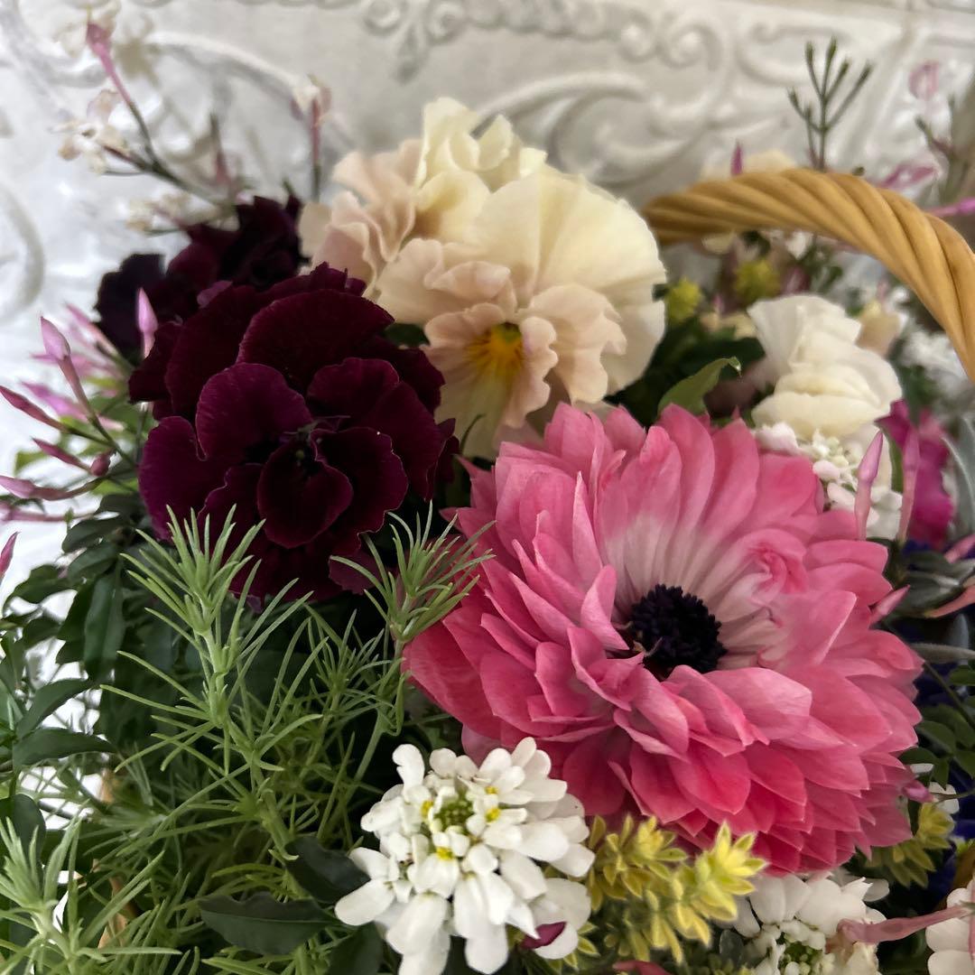 春満載♡アネモネとジュリアンのギャザリング寄せ植え