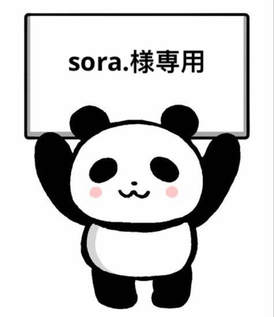 sora.様一枚